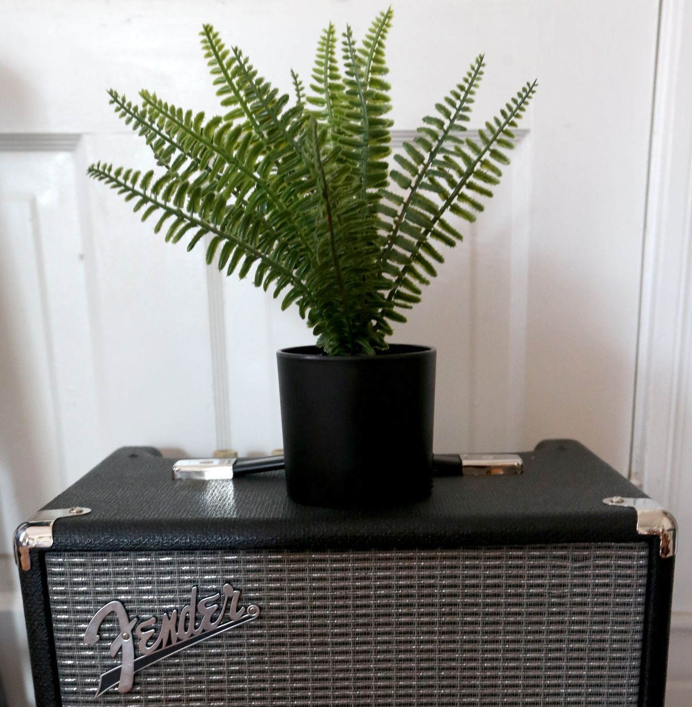 At home with musical artist Tonina Saputo